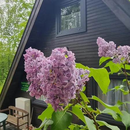 Marie 125 Holiday home Bad Arolsen