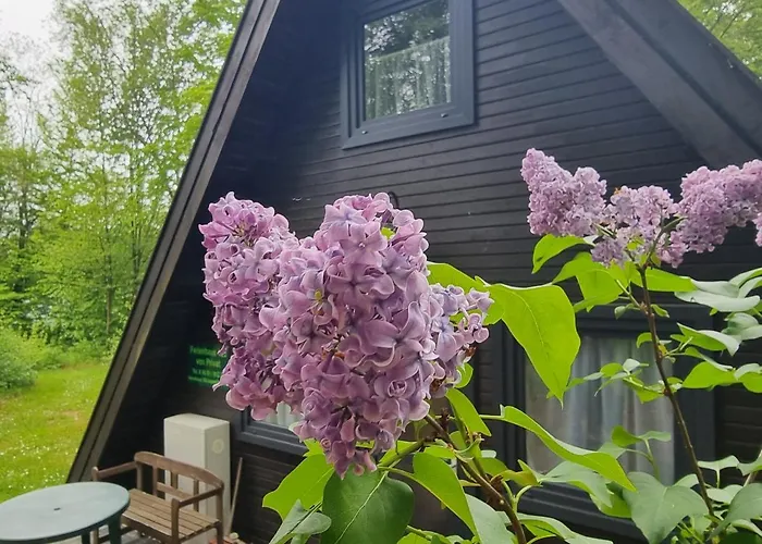 Marie 125 Nyaraló Bad Arolsen